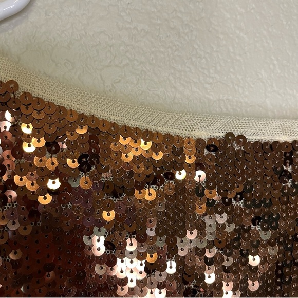 Ann Taylor LOFT Bronze and Cream Sequin Mesh Cap Sleeve Top Size Medium - Picture 9 of 13